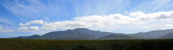 EarthCollective