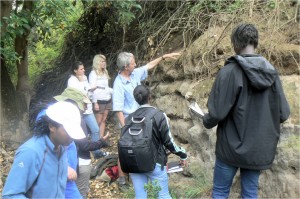 Wetland loss & erosion: cracking the code Wetland loss & erosion: cracking the code