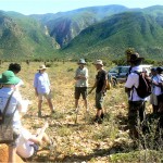The spekboom reforestation plot at Zandvlakte farm