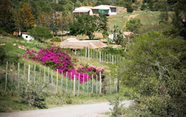 PRESENCE Learning Village