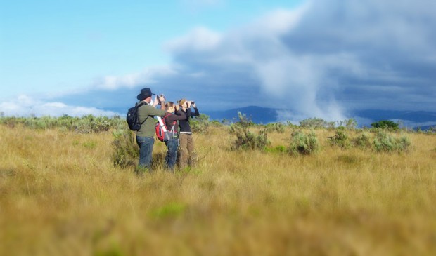 Wildlife habitat assessment