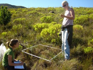Field work gets its stripes Field work gets its stripes