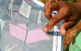 Planting Map