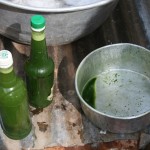 Bottled Medicine