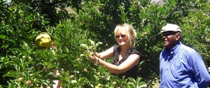 Living on the Road: Reflections from the Kouga