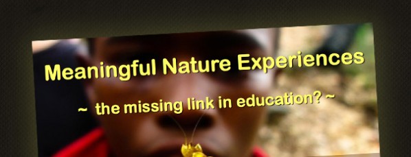 MNE In Education