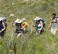 Wildlands Studies 2011