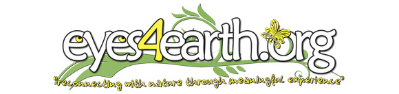 eyes4earth.org
