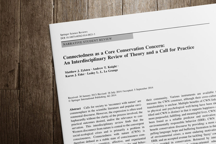 Connectedness as a core conservation concern